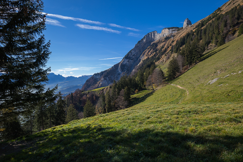 Viewing Album Frümsner Alp